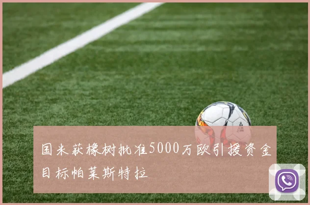 国米获橡树批准5000万欧引援资金目标帕莱斯特拉